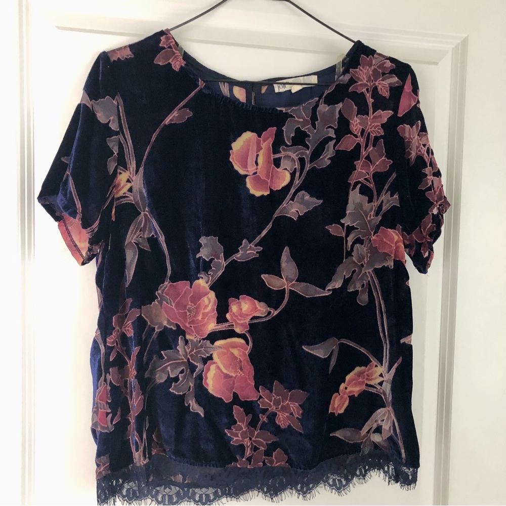 Jolt — Velvet Sheer Floral Cropped Top